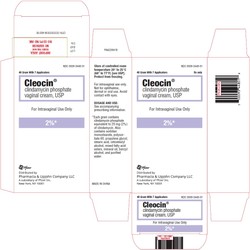 Clindamycin Vaginal Cream 2%