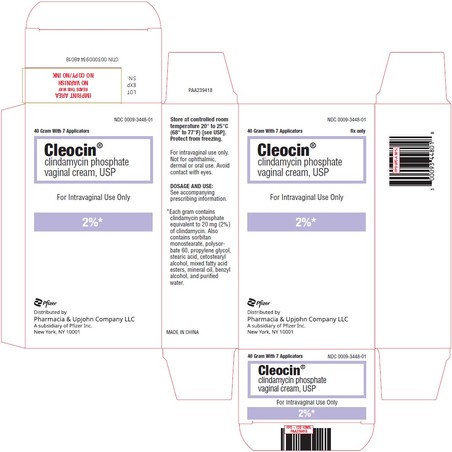 Clindamycin Vaginal Cream 2%